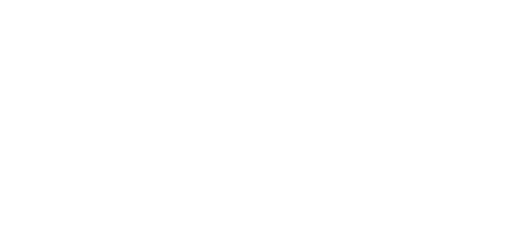 Nivel System - Logo - kontra-trans